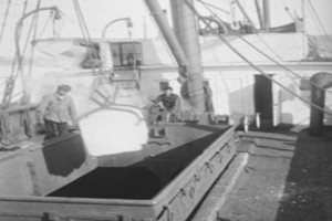 Bilde av Isdrift - opplasting på frakteskute